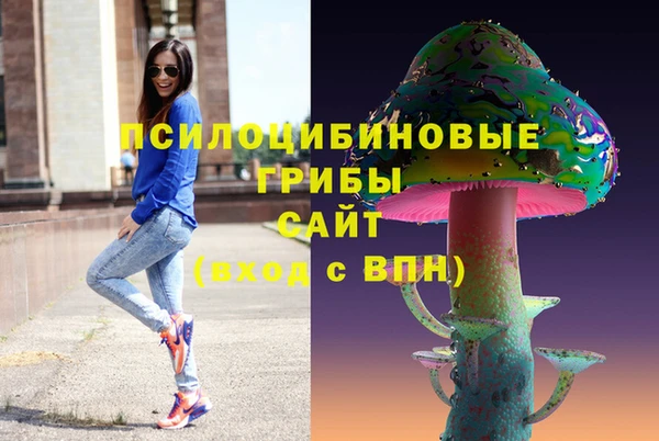 прущие крисы Балахна
