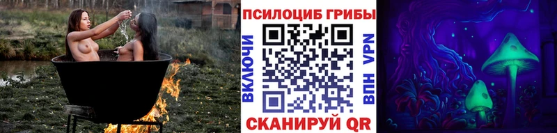 Галлюциногенные грибы мухоморы  закладка  Колпашево 
